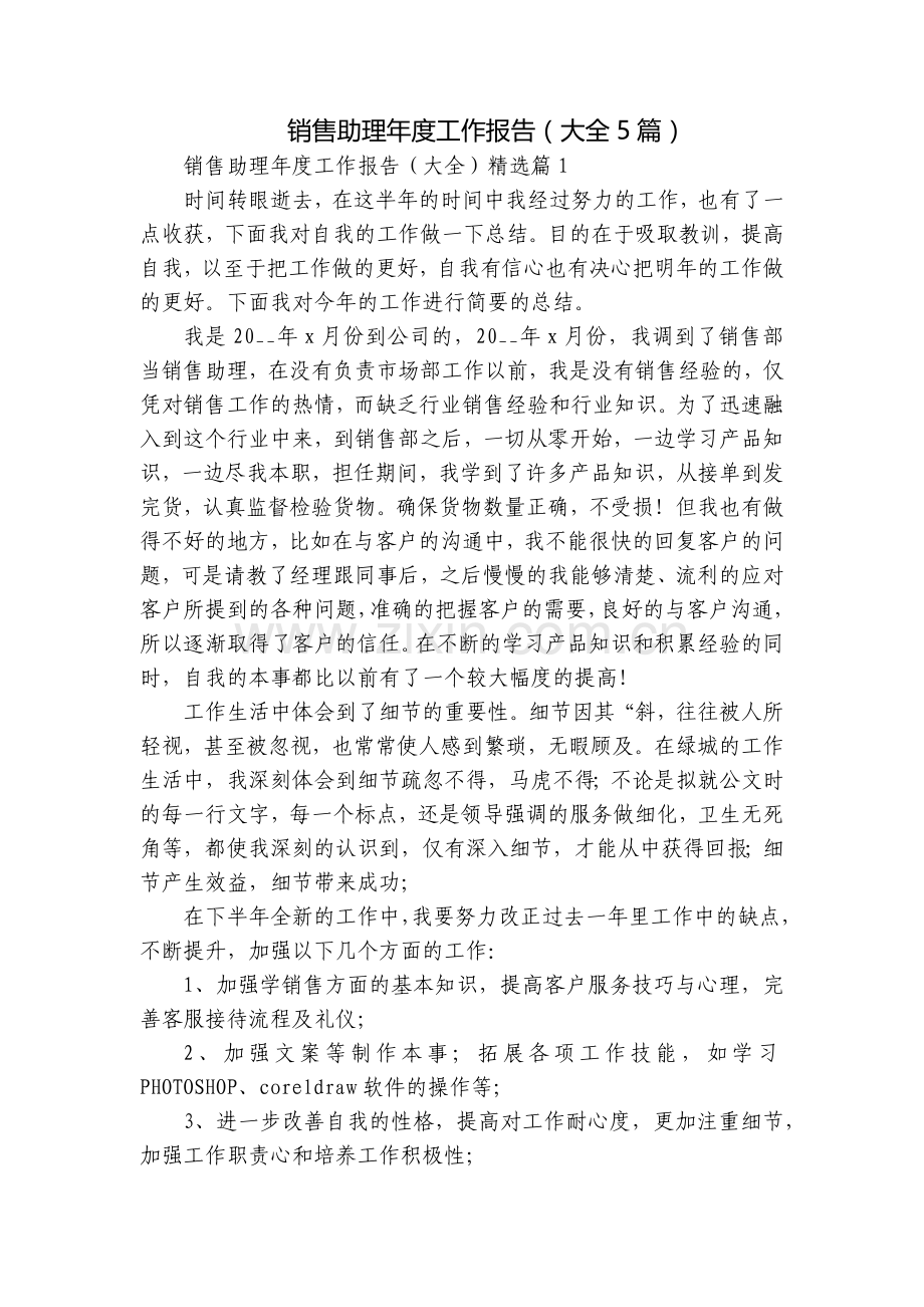 销售助理年度工作报告(大全5篇).docx_第1页