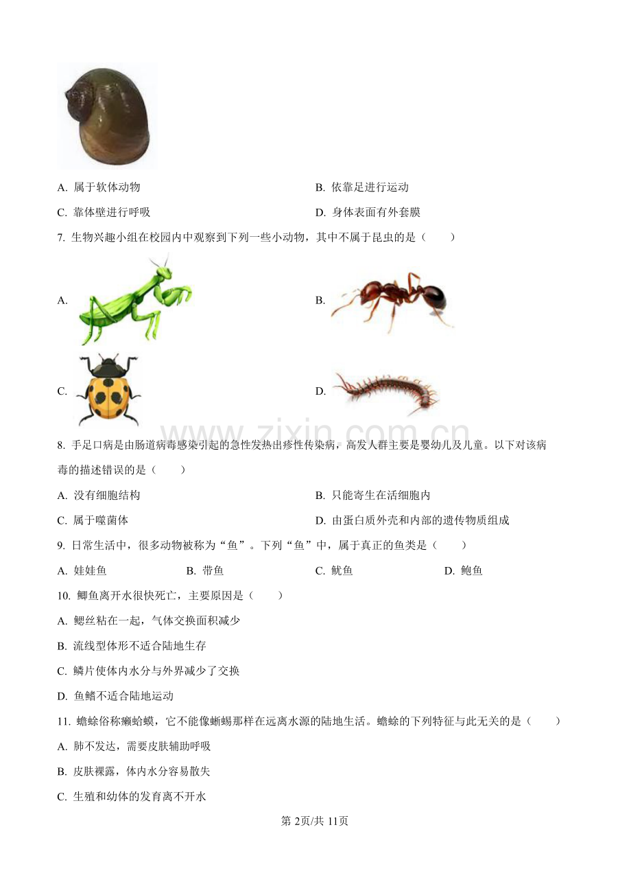广东省广州市增城区2024-2025学年八年级上学期期末生物试题（含答案）.docx_第2页
