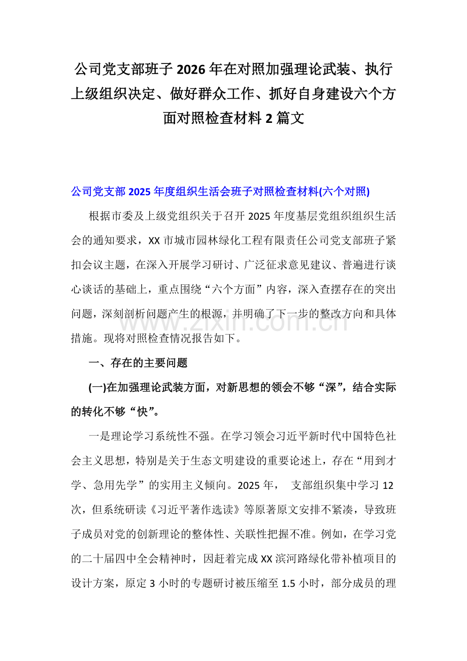 公司党支部班子2026年在对照加强理论武装、执行上级组织决定、做好群众工作、抓好自身建设六个方面对照检查材料2篇文.docx_第1页