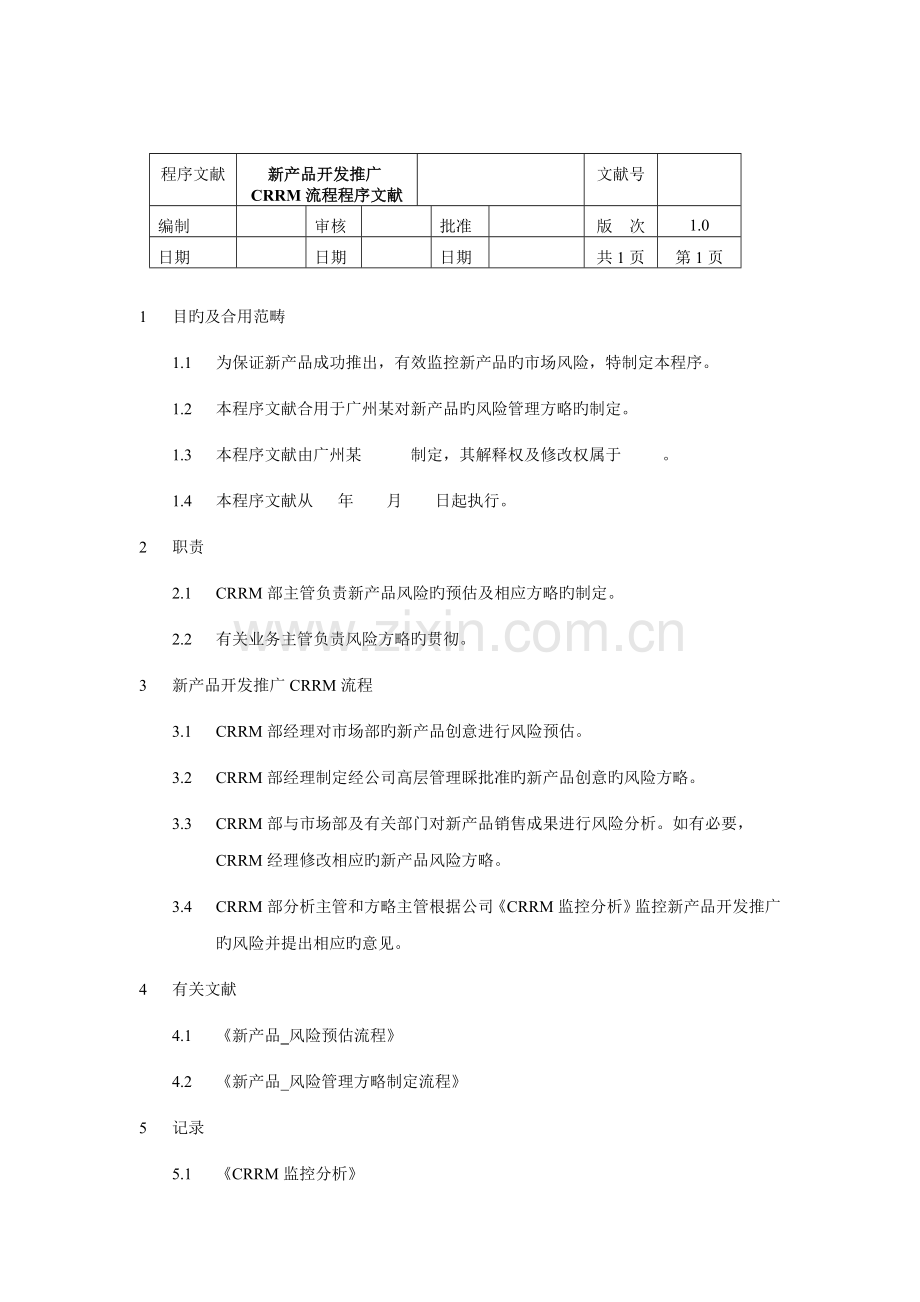 CRRM目标与策略制定流程.docx_第2页