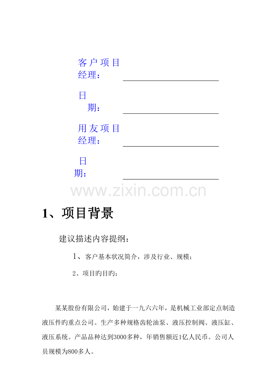 ERP系统项目实施总结报告.docx_第2页