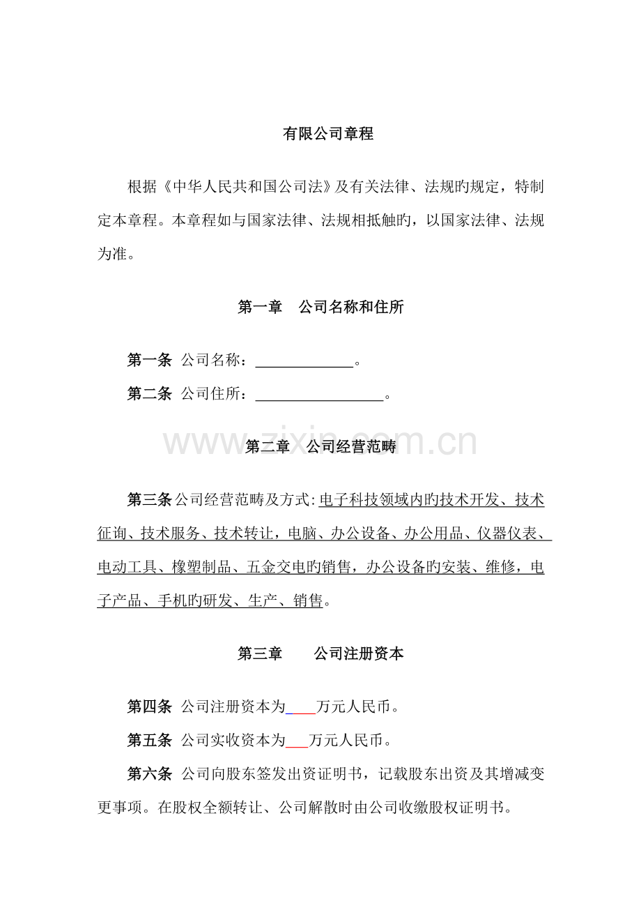 电子公司章程模板.docx_第1页