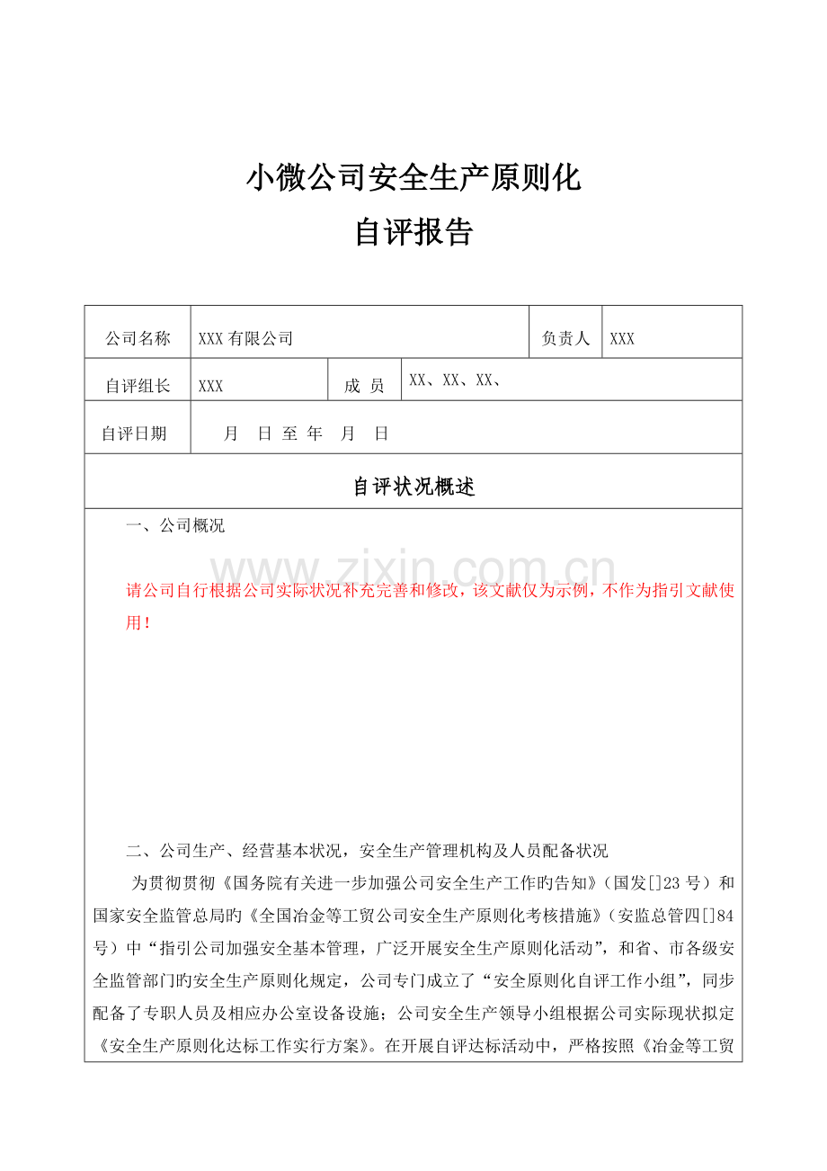 安全生产标准化自评报告小微企业.docx_第2页
