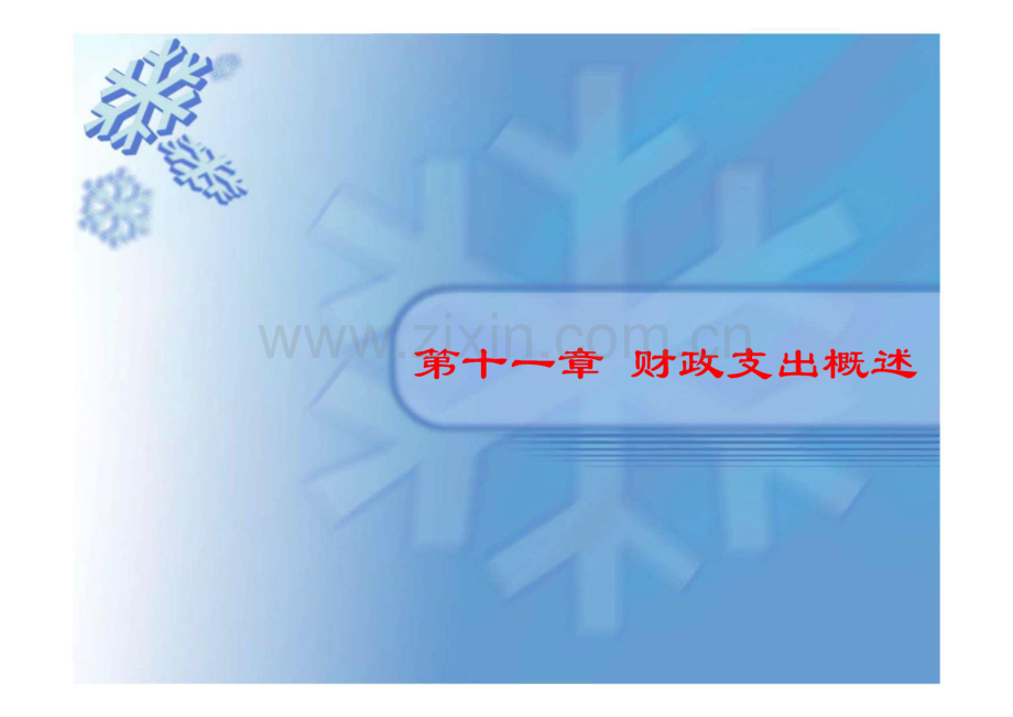 财政学课件11 财政支出概述.pdf_第1页