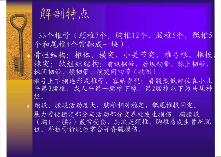 脊柱骨折和脊髓损伤(课件).pdf_第2页