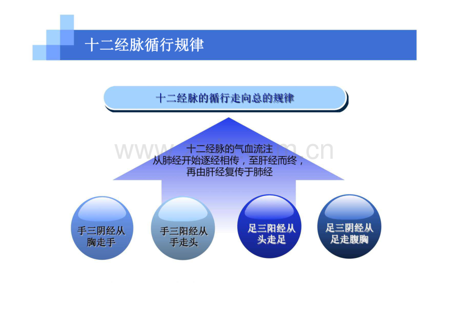 针灸穴位图解.pdf_第2页