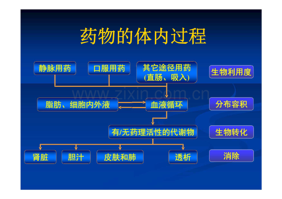 肾衰病人的药物代谢特点和药物剂量调整.pdf_第2页