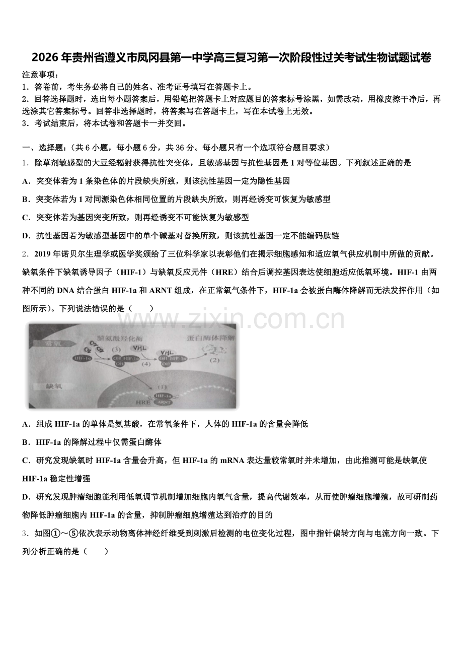 2026年贵州省遵义市凤冈县第一中学高三复习第一次阶段性过关考试生物试题试卷含解析.doc_第1页