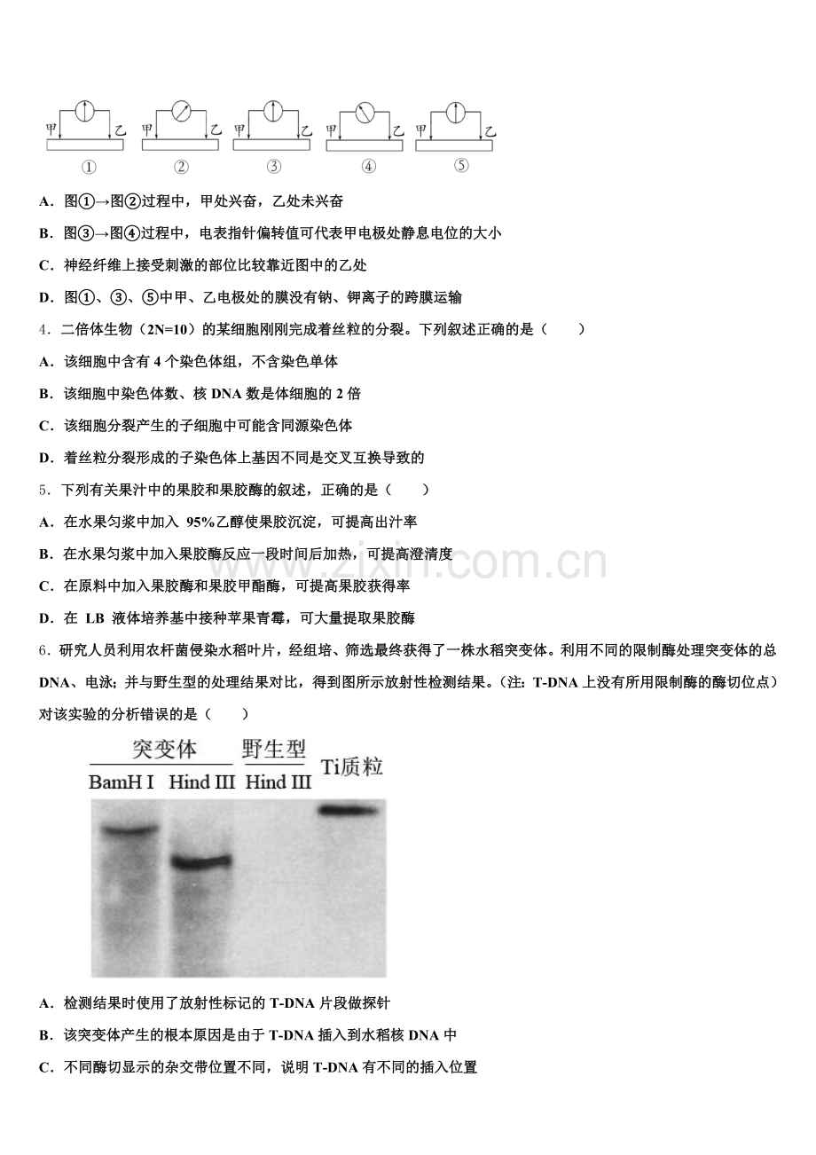 2026年贵州省遵义市凤冈县第一中学高三复习第一次阶段性过关考试生物试题试卷含解析.doc_第2页