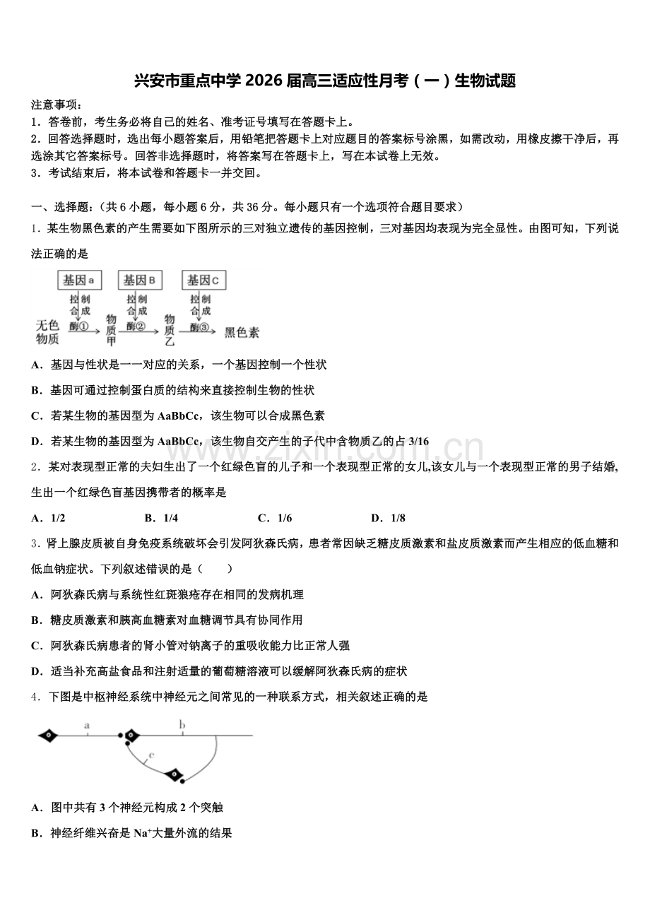 兴安市重点中学2026届高三适应性月考（一）生物试题含解析.doc_第1页