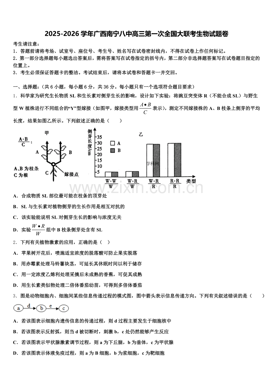 2025-2026学年广西南宁八中高三第一次全国大联考生物试题卷含解析.doc_第1页