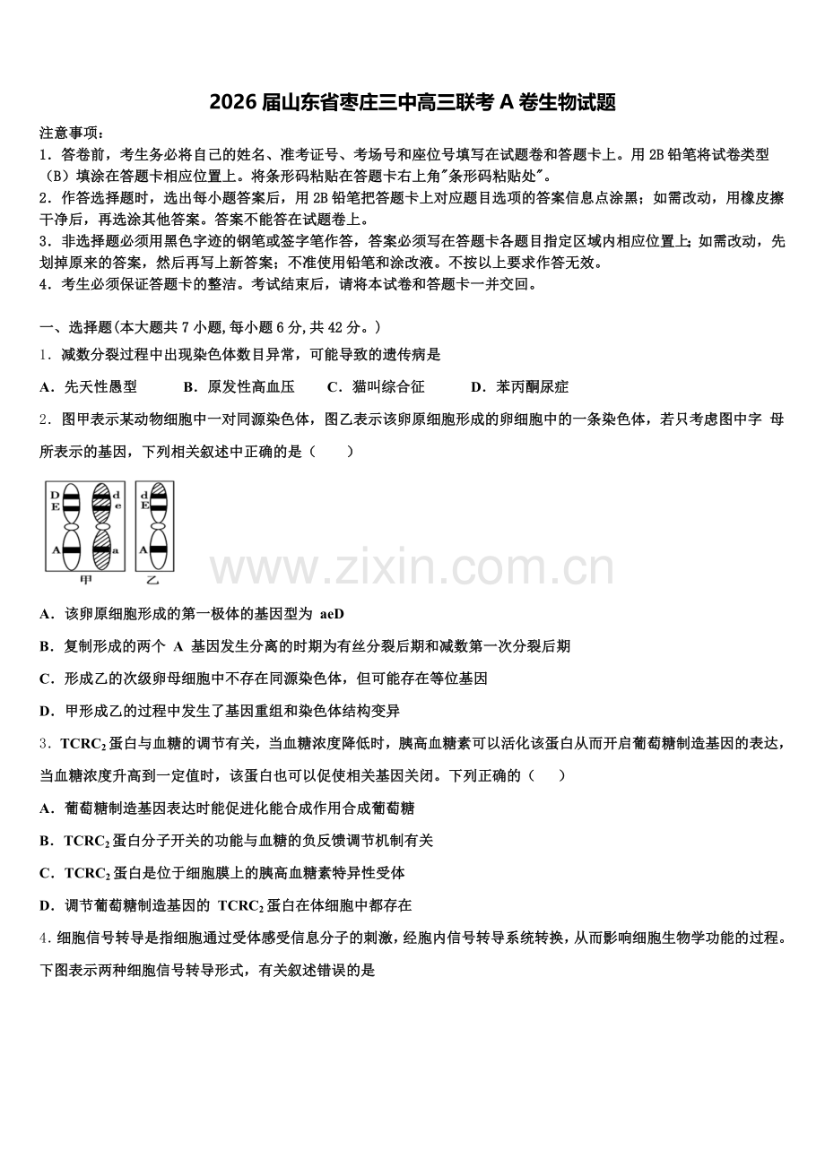2026届山东省枣庄三中高三联考A卷生物试题含解析.doc_第1页