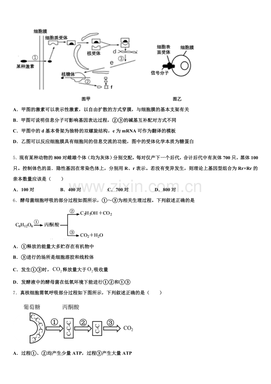 2026届山东省枣庄三中高三联考A卷生物试题含解析.doc_第2页