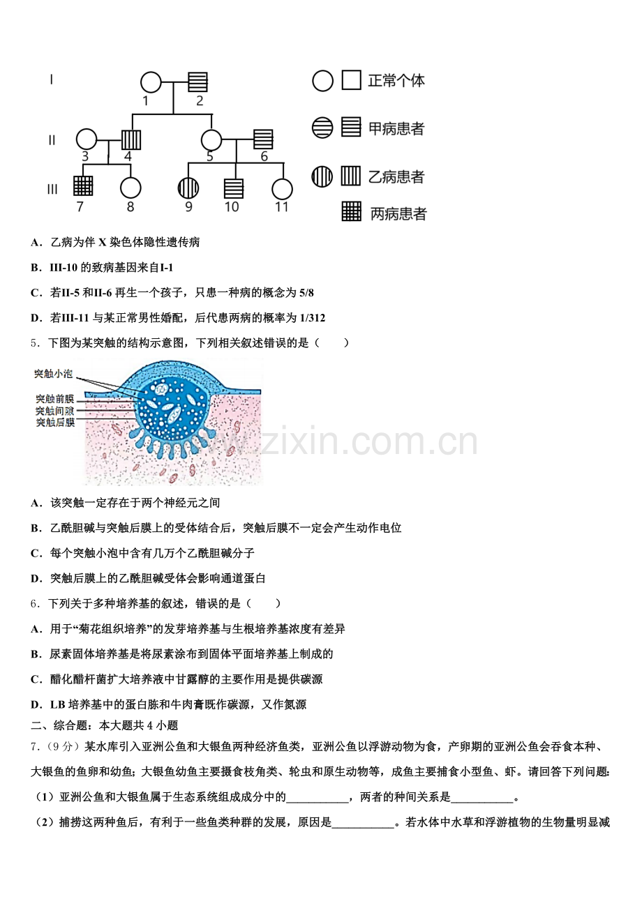 江苏省苏州等四市2026年高考第一次模拟考试生物试题含解析.doc_第2页