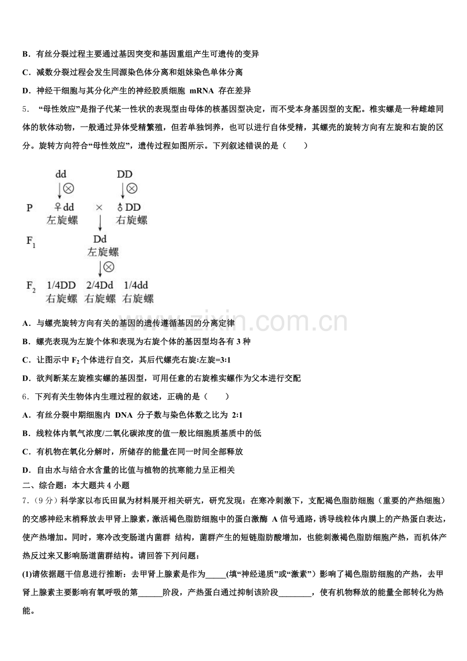 广东省河源市龙川县隆师中学2025-2026学年高三三月（在线）模拟考试生物试题试卷含解析.doc_第2页