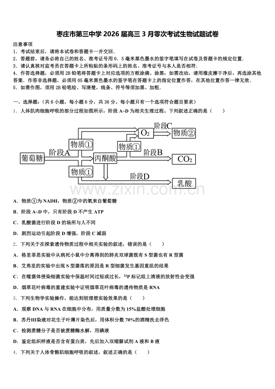 枣庄市第三中学2026届高三3月零次考试生物试题试卷含解析.doc_第1页