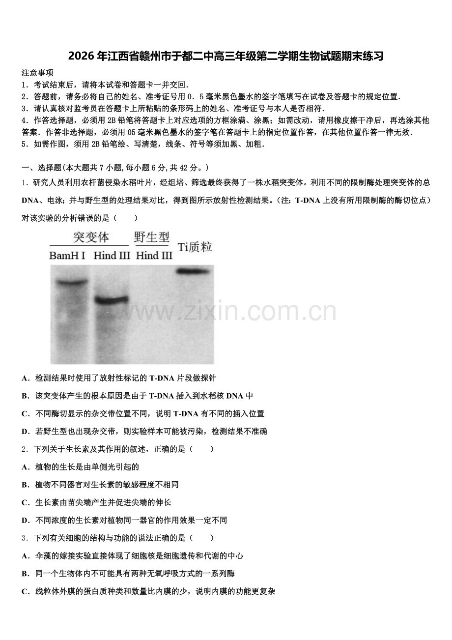 2026年江西省赣州市于都二中高三年级第二学期生物试题期末练习含解析.doc_第1页