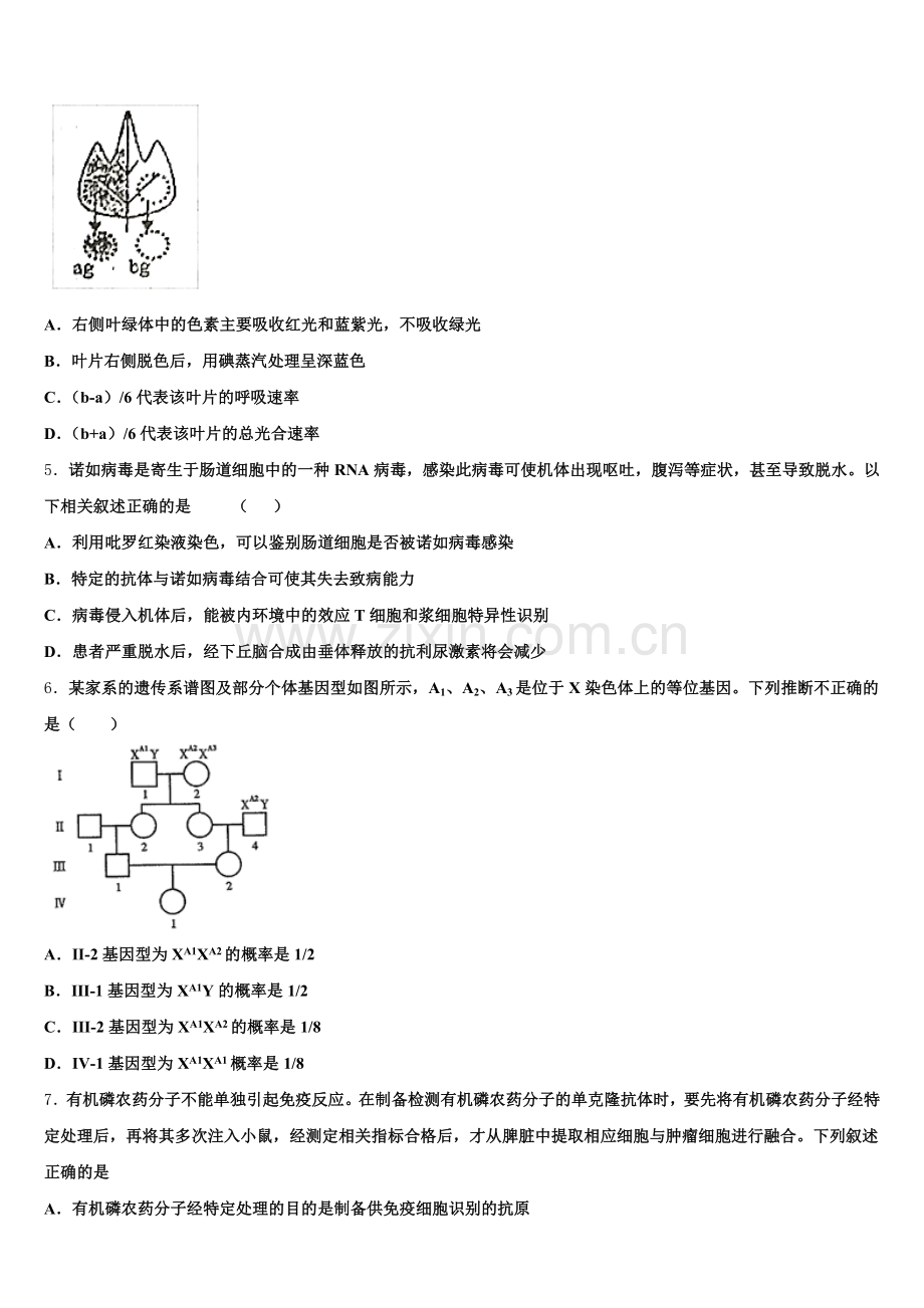 四川省成都市蓉城名校2026年高三年毕业班第一次综合质量检查生物试题试卷含解析.doc_第2页