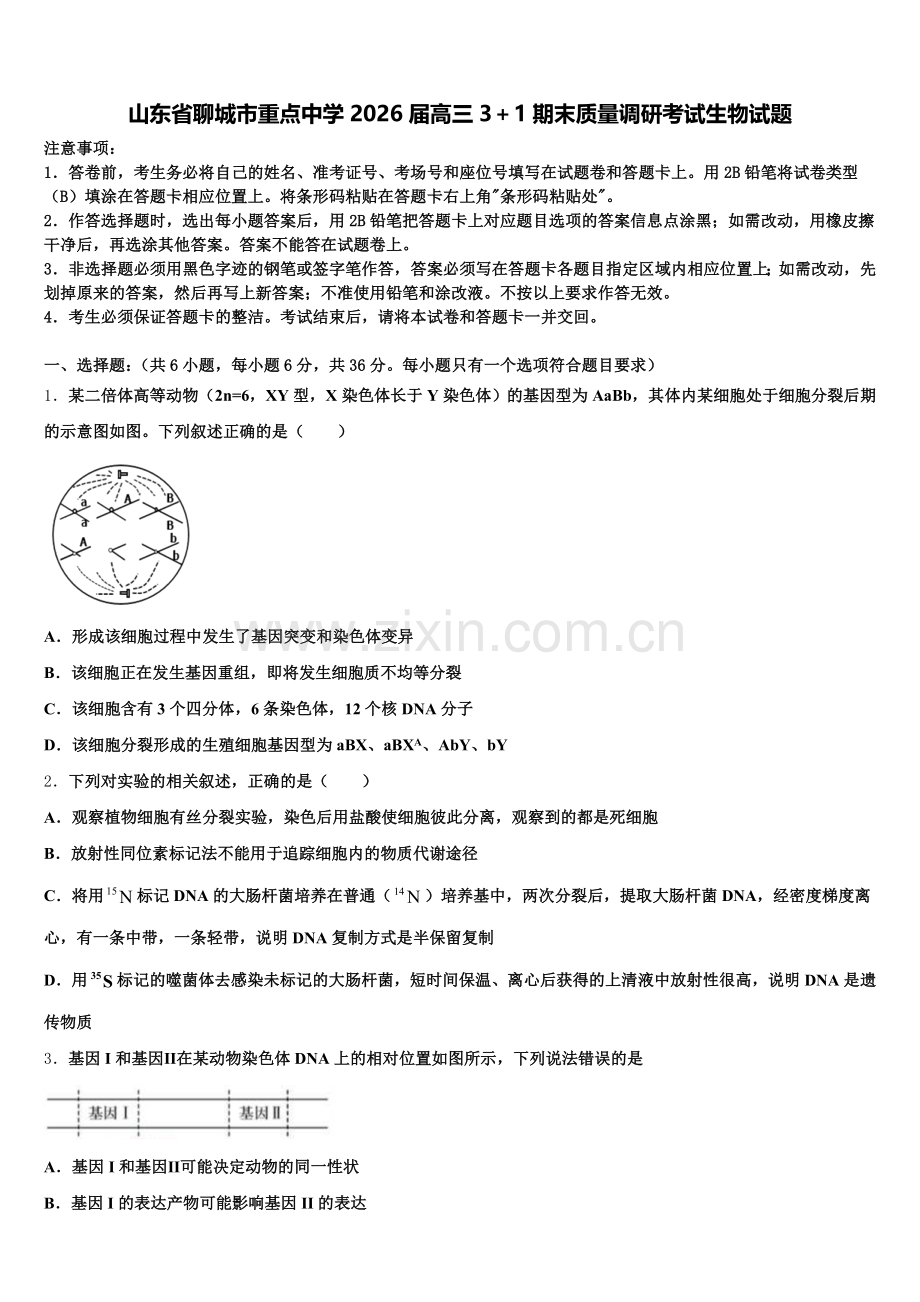 山东省聊城市重点中学2026届高三3＋1期末质量调研考试生物试题含解析.doc_第1页