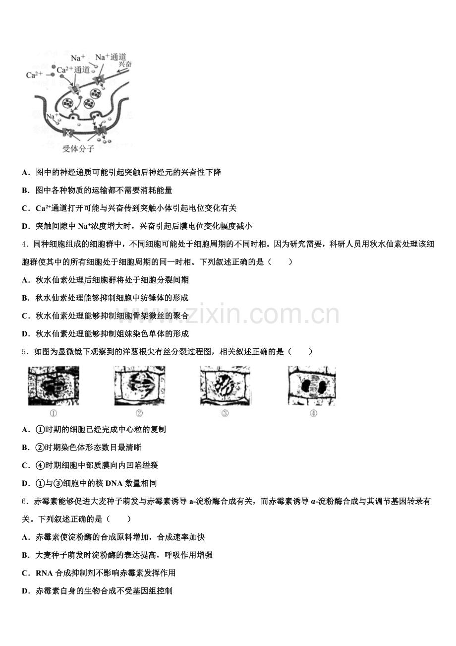黑龙江省大庆市让胡路区铁人中学2025-2026学年下学期高三期中统测生物试题含解析.doc_第2页