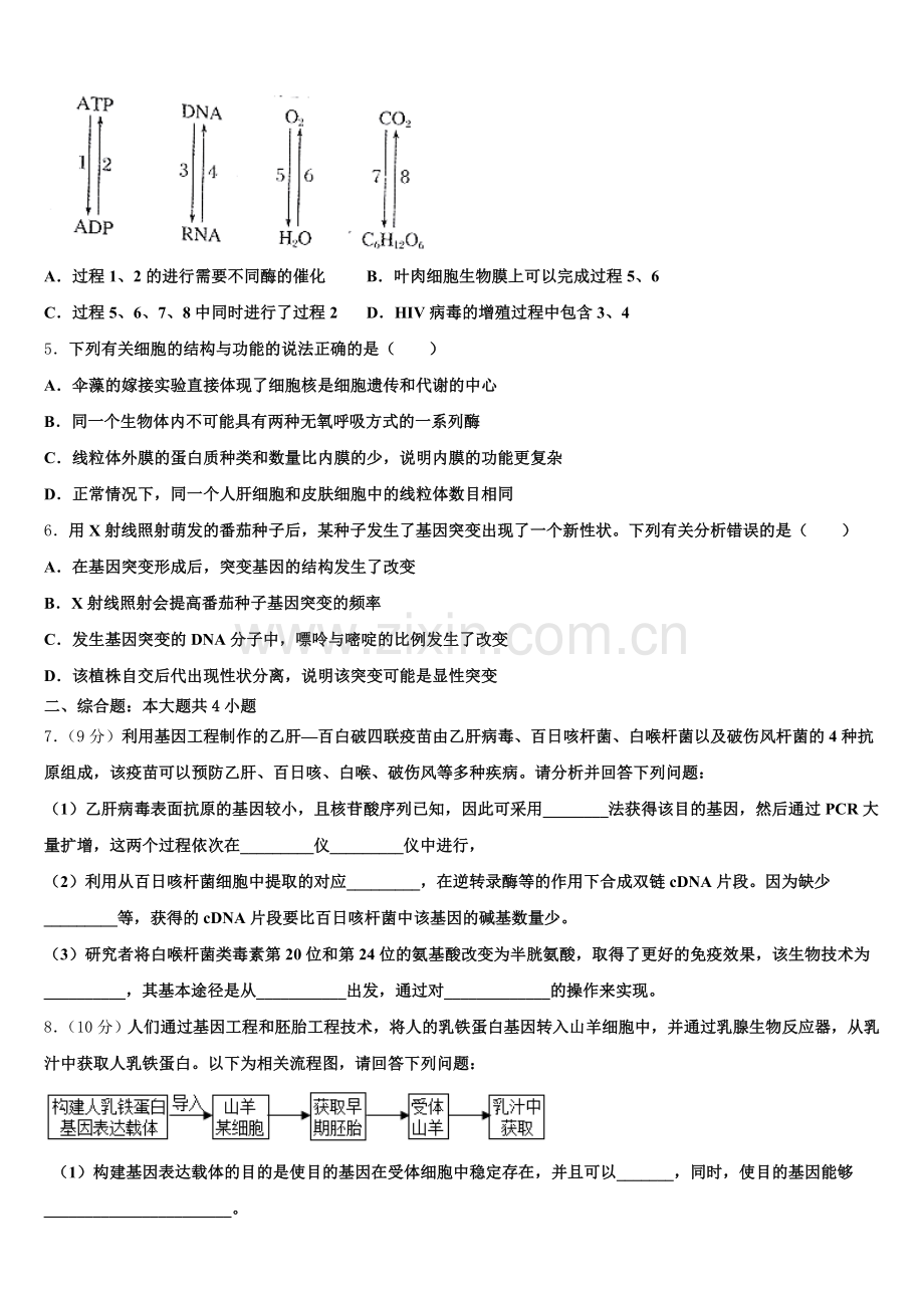 2026届福建省厦门市翔安一中高三第三次适应性训练生物试题含解析.doc_第2页
