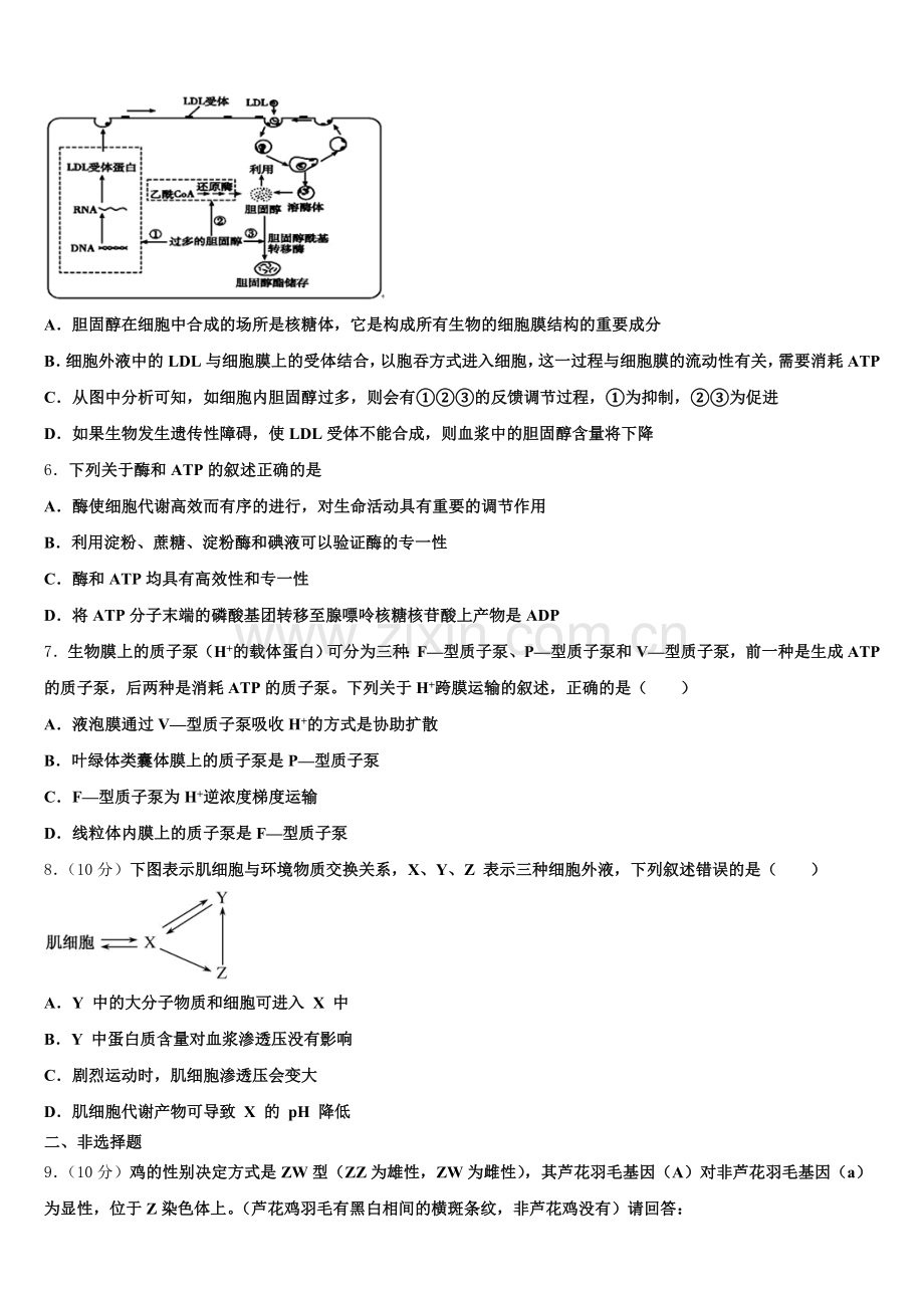 2026届广东省揭阳市揭西河婆中学高三下学期期末试卷生物试题含解析.doc_第2页
