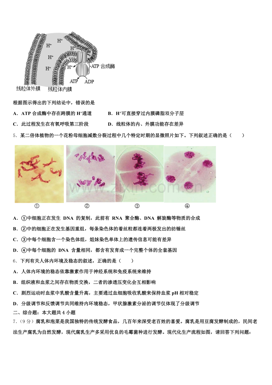 四川省苍溪中学2026届高三下学期第二次诊断性测验生物试题试卷含解析.doc_第2页