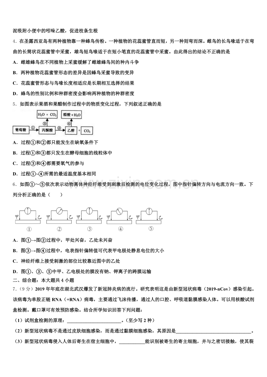2026年湖北省宜昌市西陵区宜昌二中高三下学期第三次调考生物试题含解析.doc_第2页