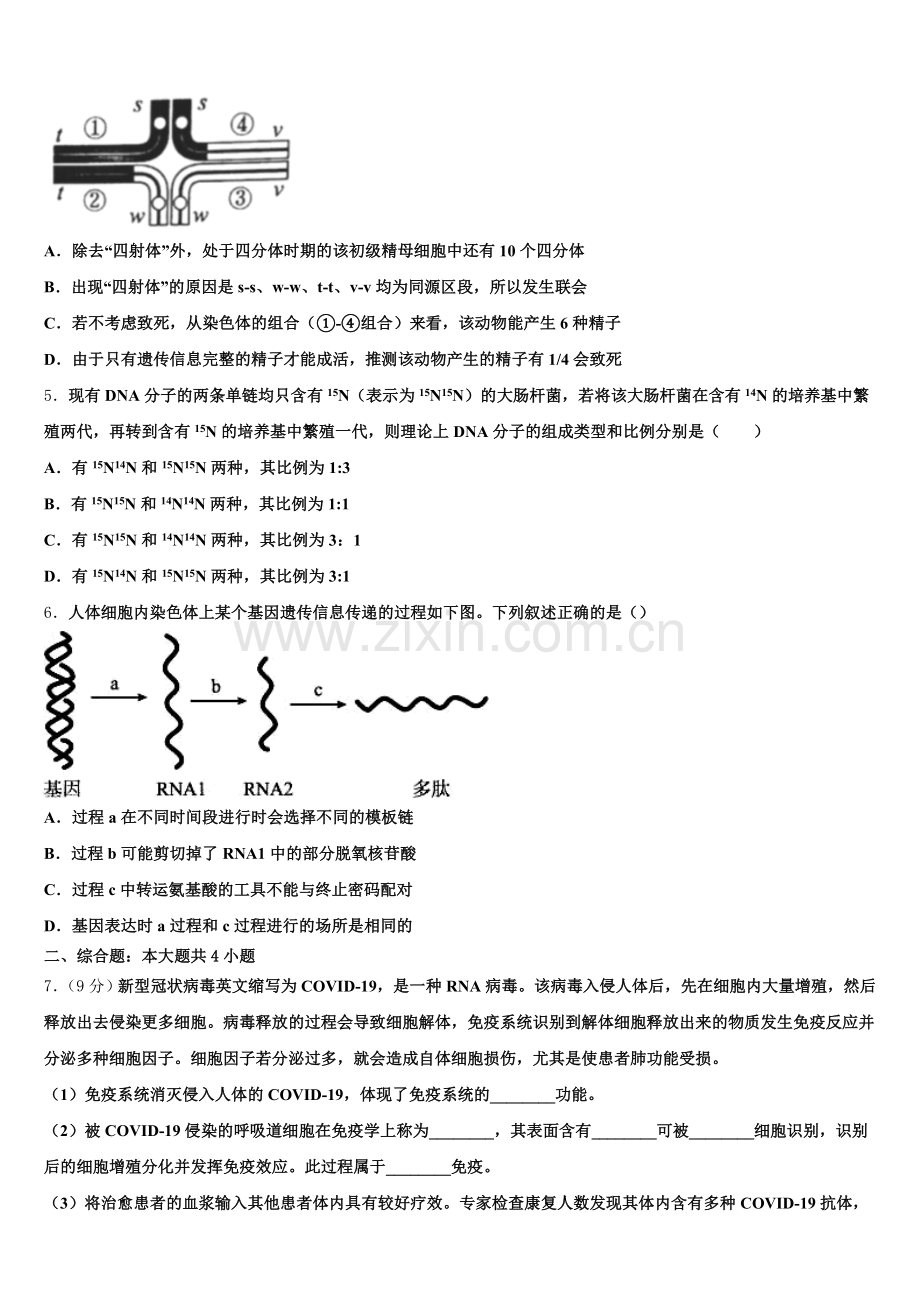 河南省新乡市2026年高三第一次模拟考试生物试题A卷含解析.doc_第2页