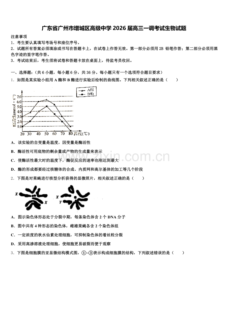 广东省广州市增城区高级中学2026届高三一调考试生物试题含解析.doc_第1页