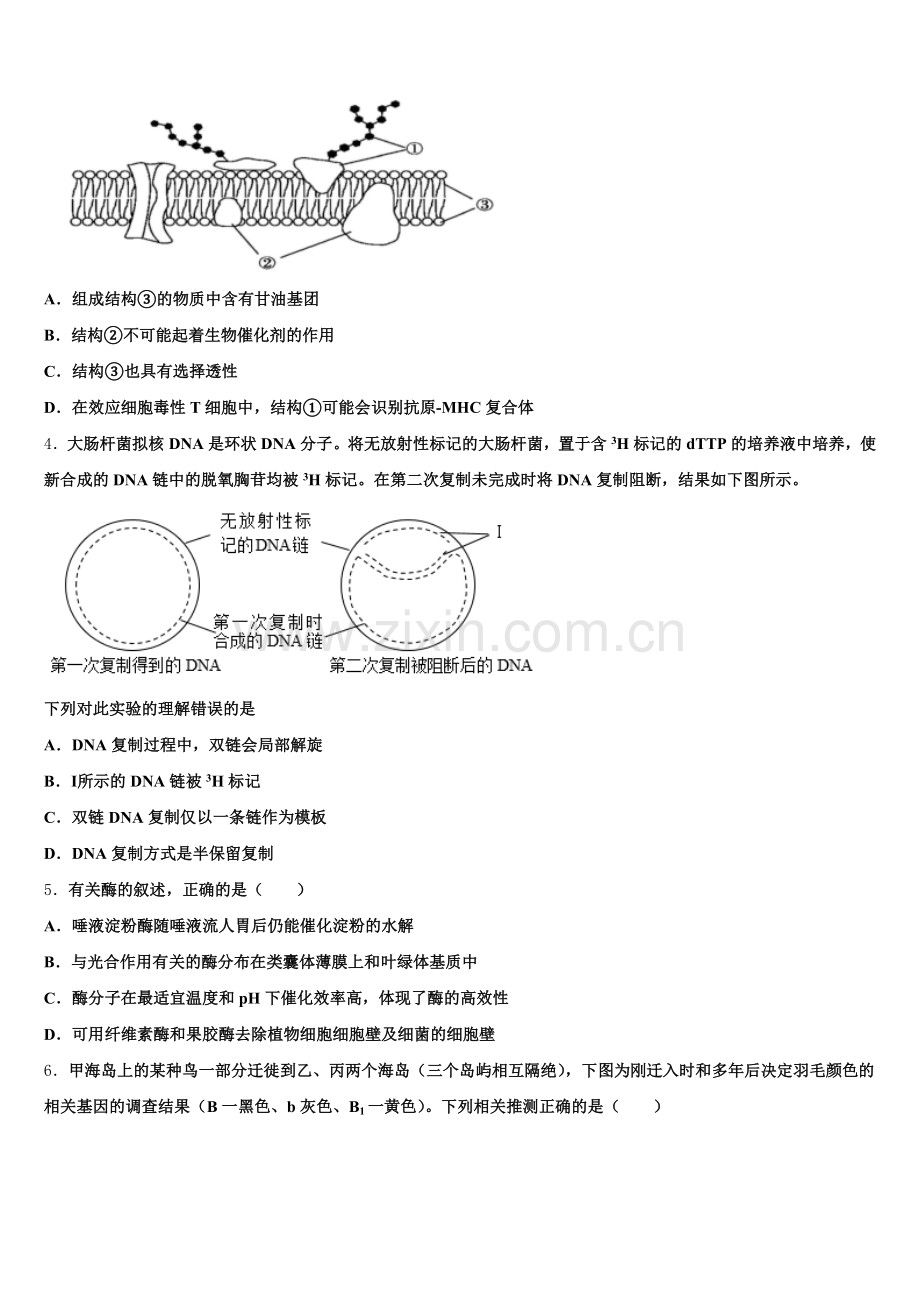 广东省广州市增城区高级中学2026届高三一调考试生物试题含解析.doc_第2页