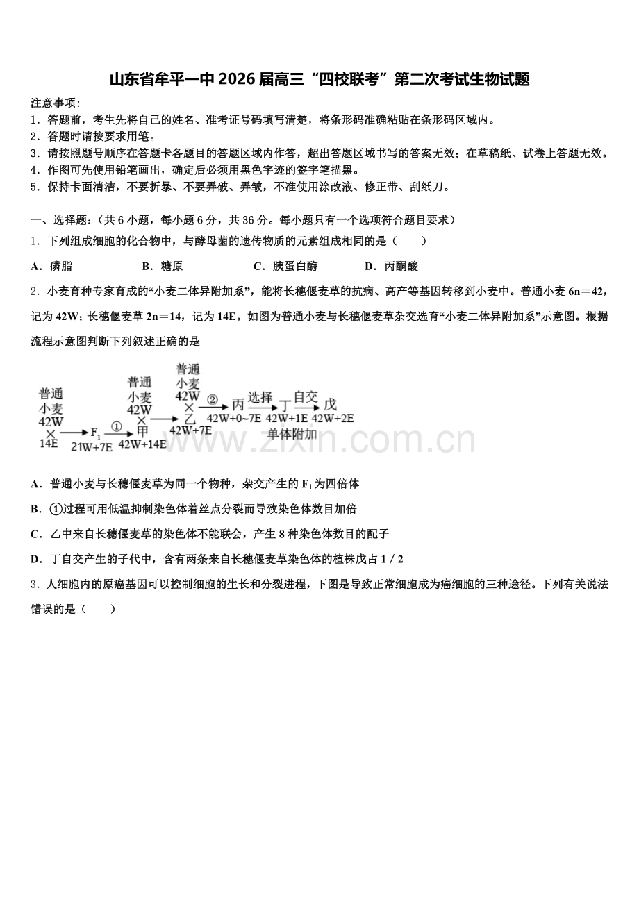 山东省牟平一中2026届高三“四校联考”第二次考试生物试题含解析.doc_第1页
