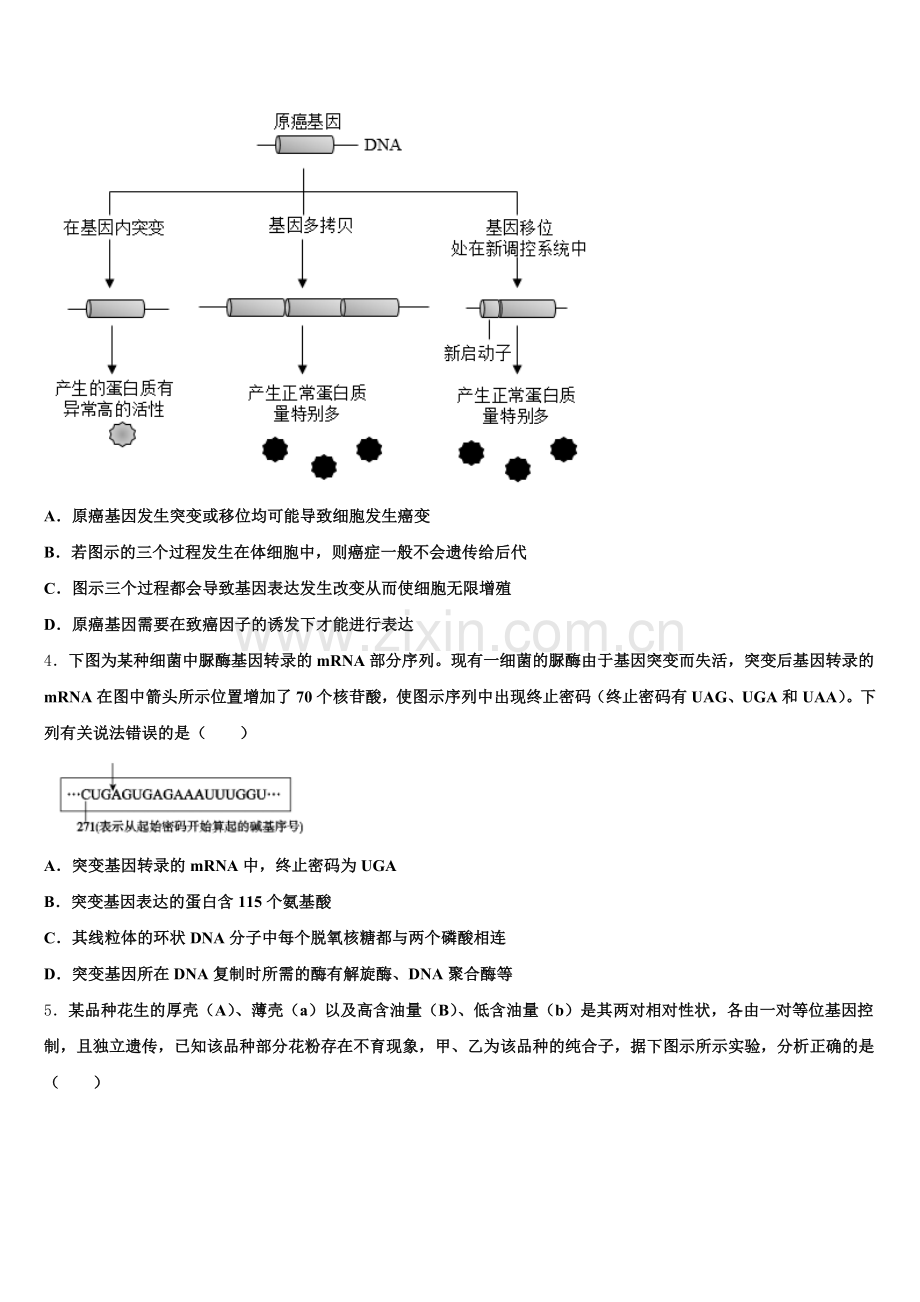 山东省牟平一中2026届高三“四校联考”第二次考试生物试题含解析.doc_第2页