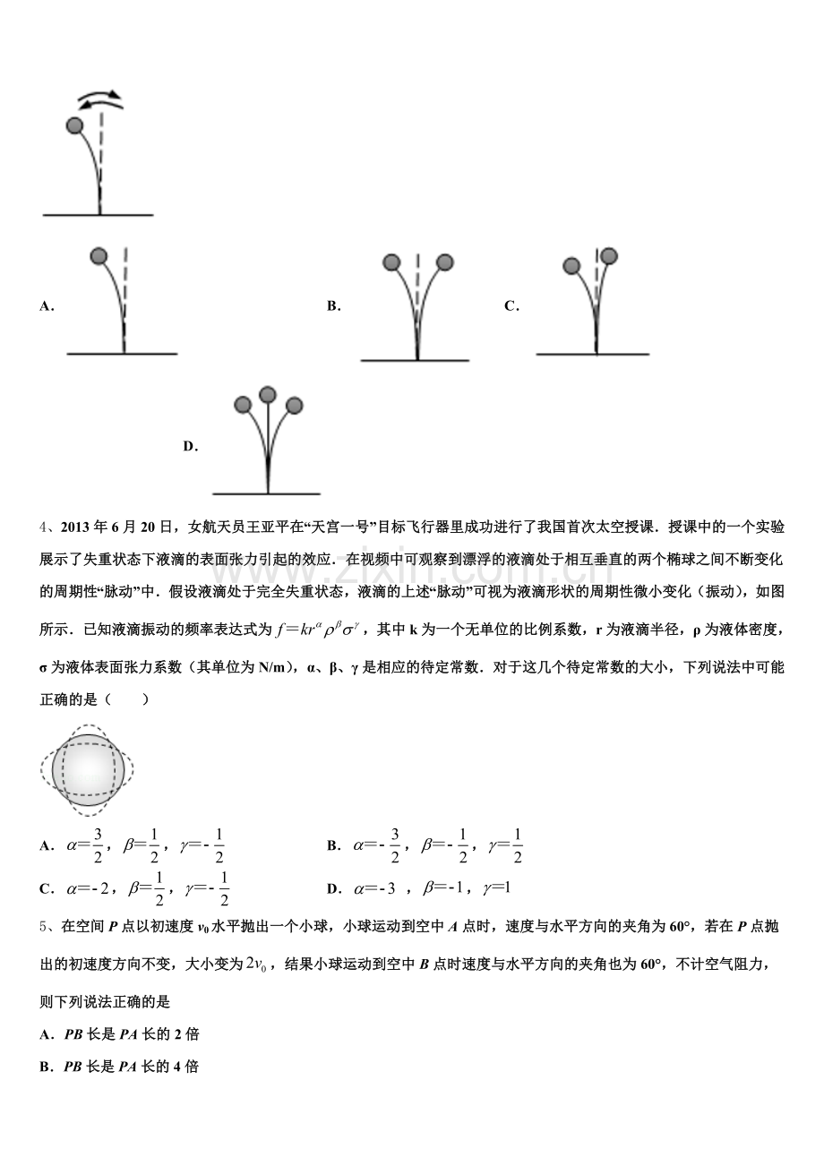 2025-2026学年广东省东华高级中学高三3月联考物理试题试卷（二）含解析.doc_第2页