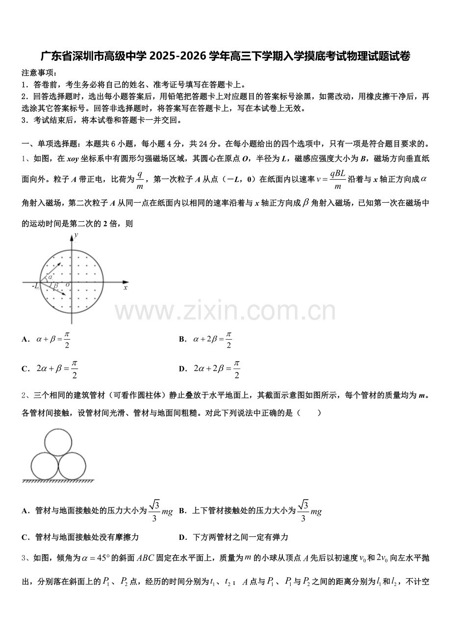 广东省深圳市高级中学2025-2026学年高三下学期入学摸底考试物理试题试卷含解析.doc_第1页
