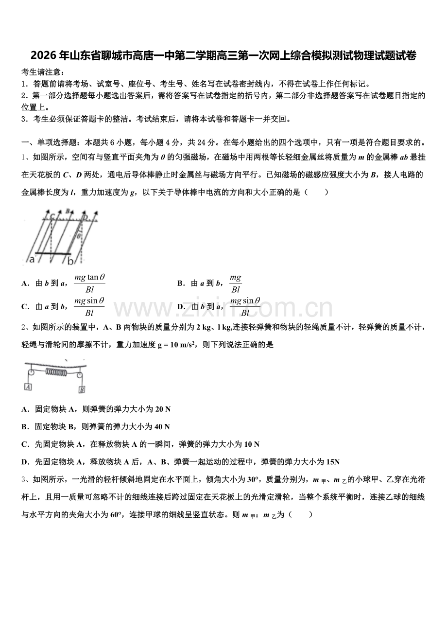 2026年山东省聊城市高唐一中第二学期高三第一次网上综合模拟测试物理试题试卷含解析.doc_第1页
