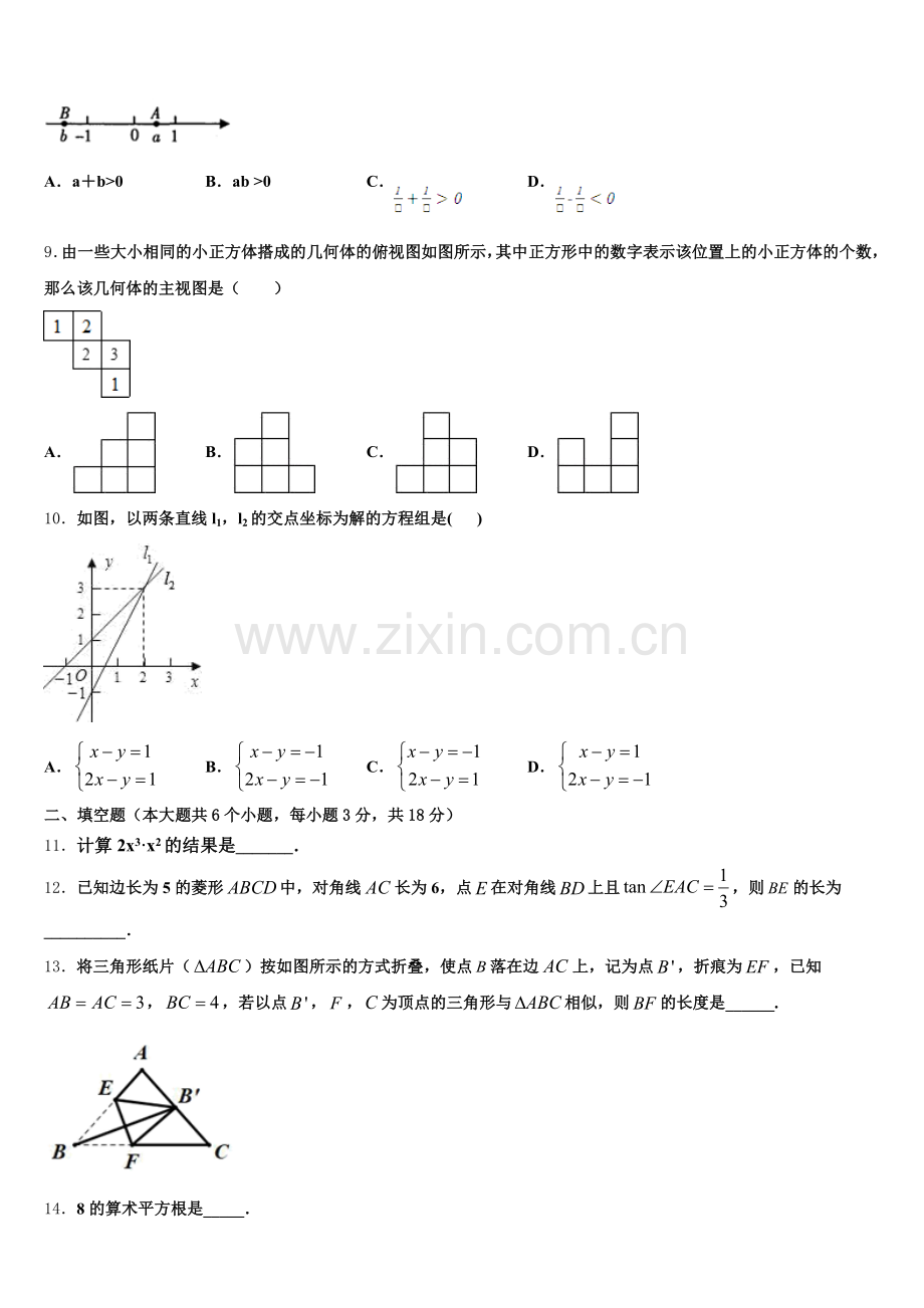 湖北省武汉市江岸区武汉市二中学广雅中学2025-2026学年高中毕业班第二次模拟（数学试题理）含解析.doc_第2页