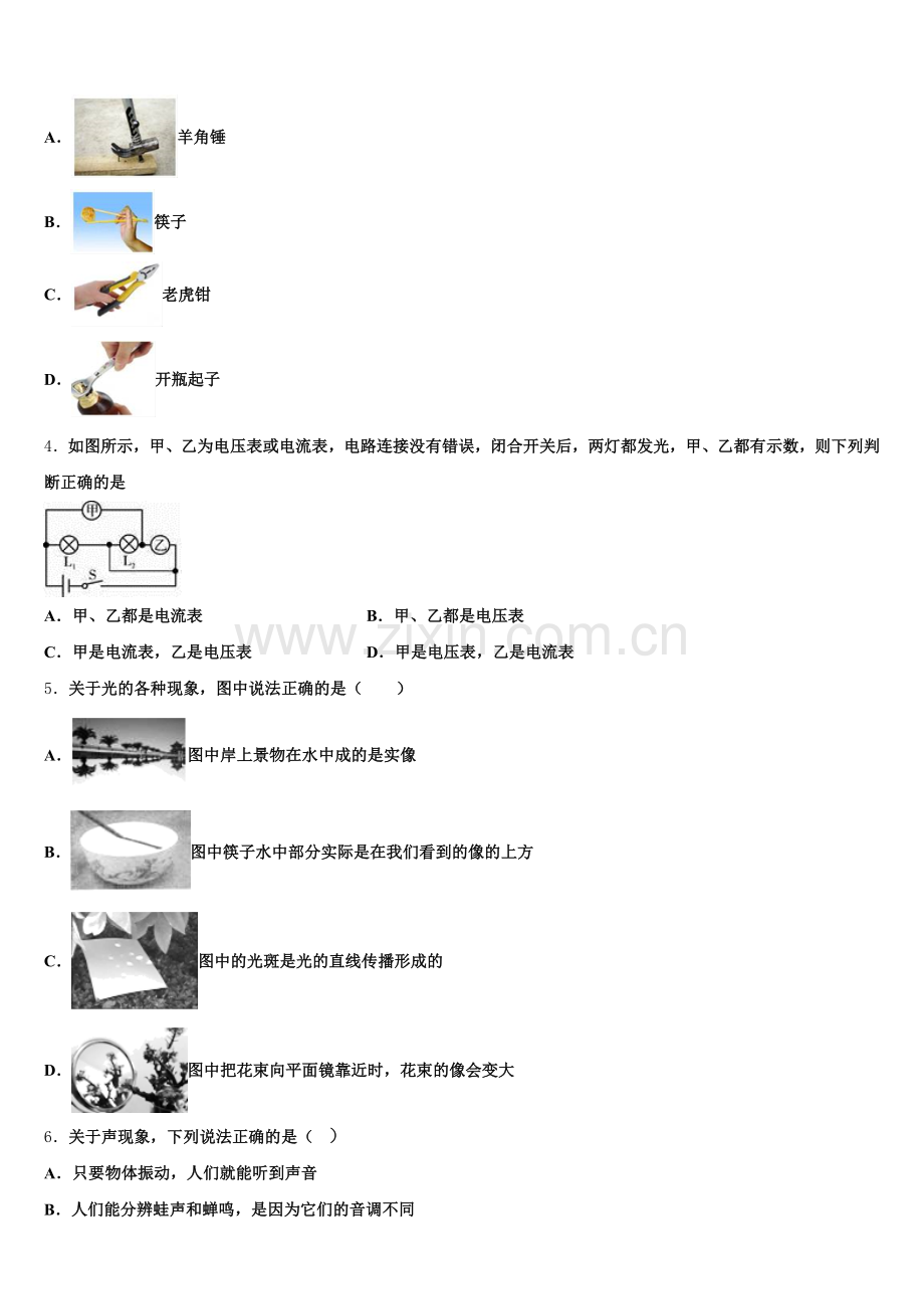 2026届陕西省蓝田县达标名校中考物理试题冲刺卷（二）含解析.doc_第2页