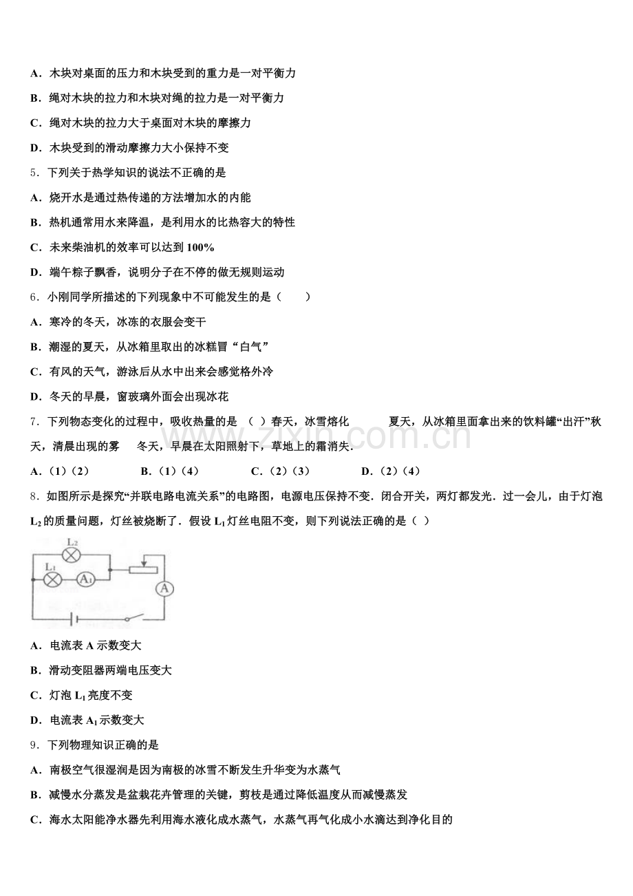 2025-2026学年吉林省农安县杨树林中学初三中考适应性考试（零诊）物理试题含解析.doc_第2页