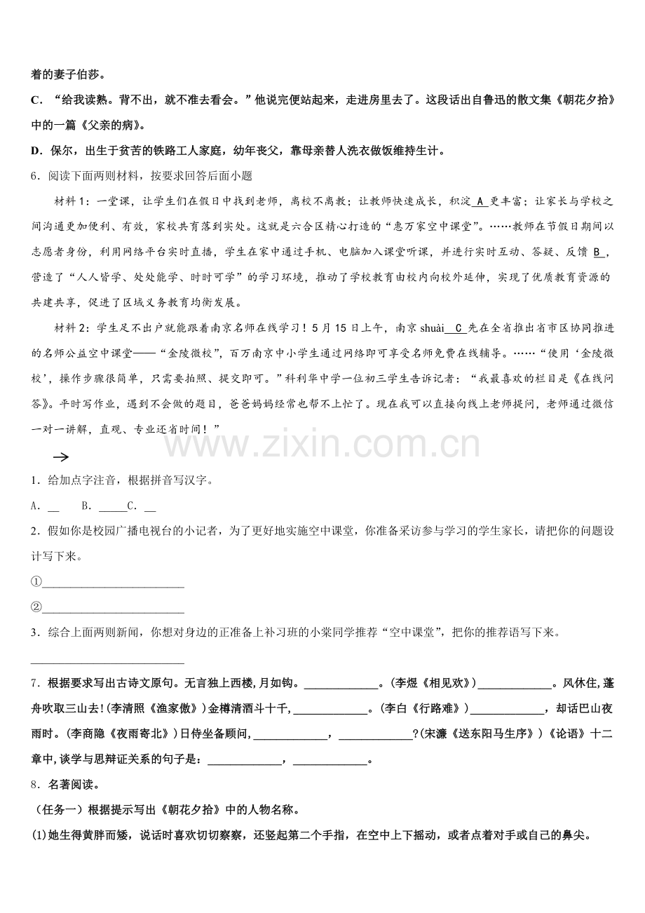 江苏省淮安市实验初级中学2025-2026学年普通中考第二次适应性检测试题语文试题含解析.doc_第2页