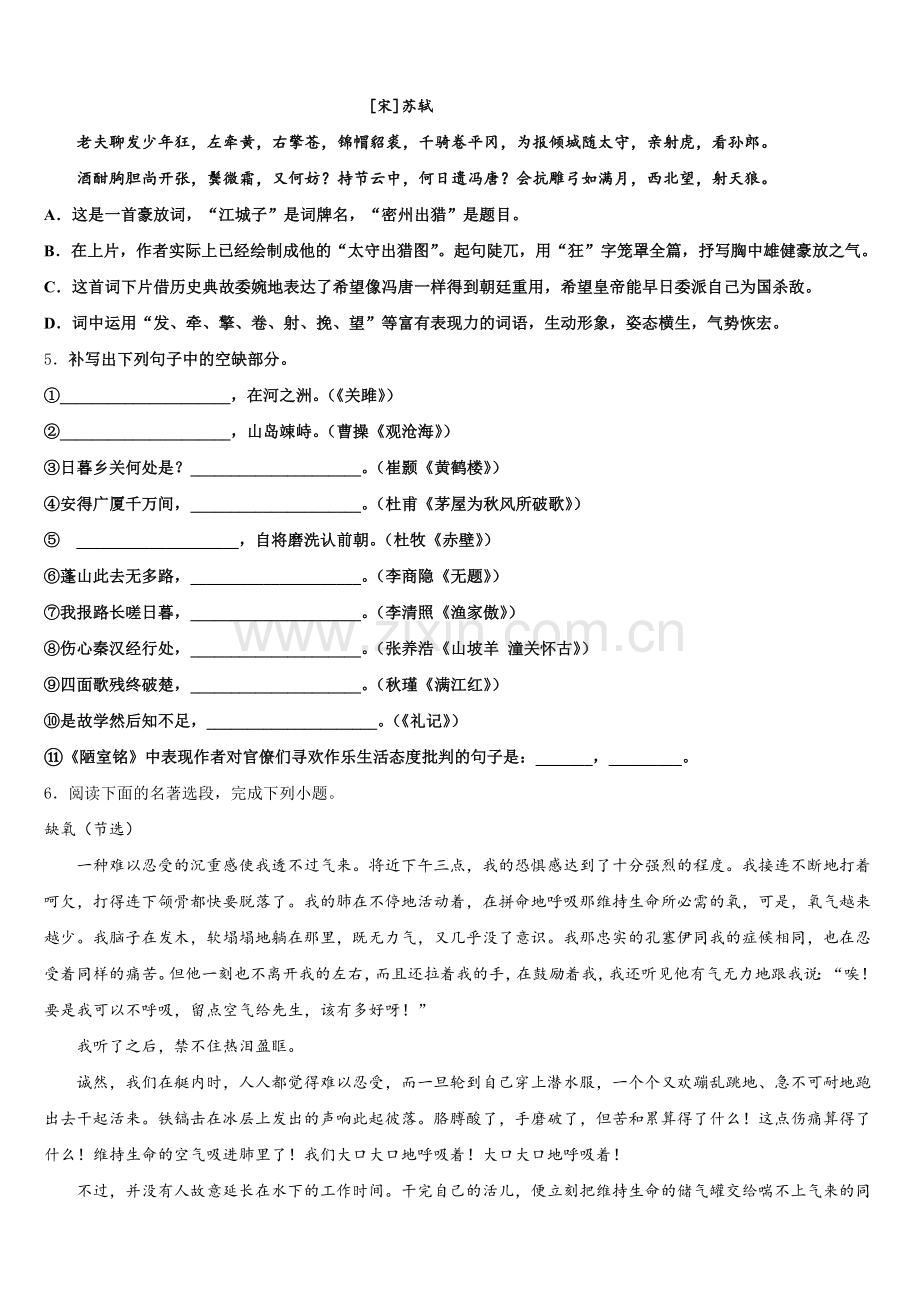 2026届湖南省邵阳县初三下学期期中考试语文试题含解析.doc_第2页