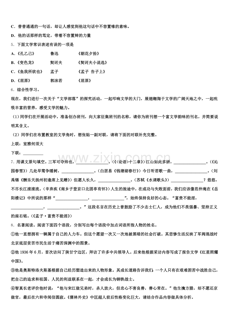 2025-2026学年西藏拉萨市达孜县中学初三下学期语文试题练习卷（3）含解析.doc_第2页