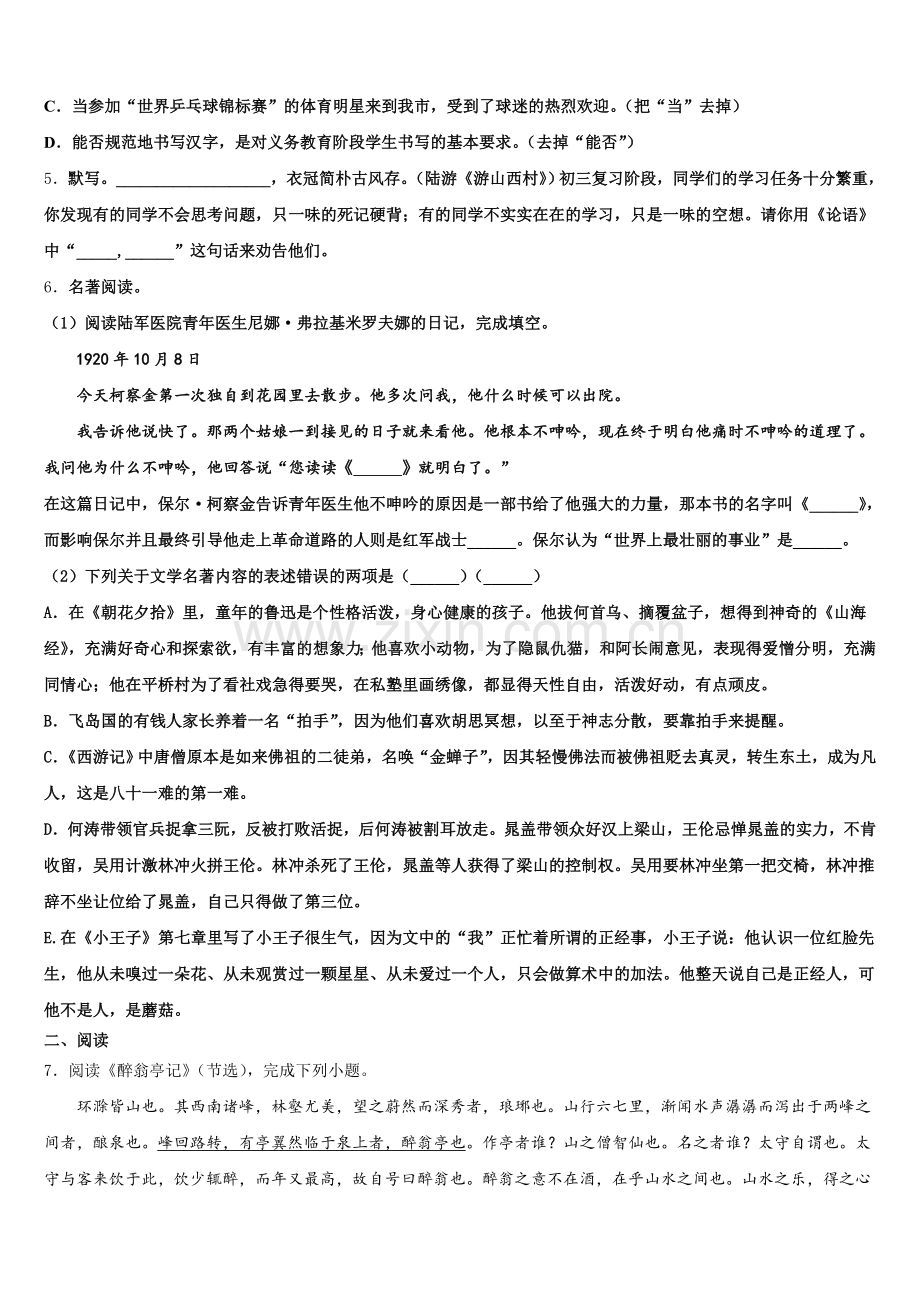 江苏省无锡市新区2026届初三综合题（二）语文试题含解析.doc_第2页