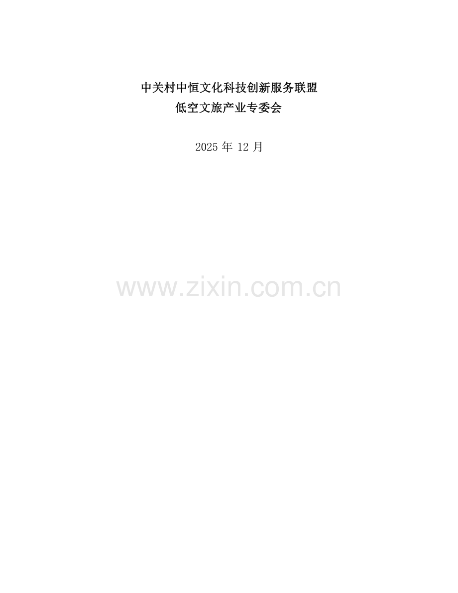 2025中国低空文旅产业发展研究报告.docx_第2页