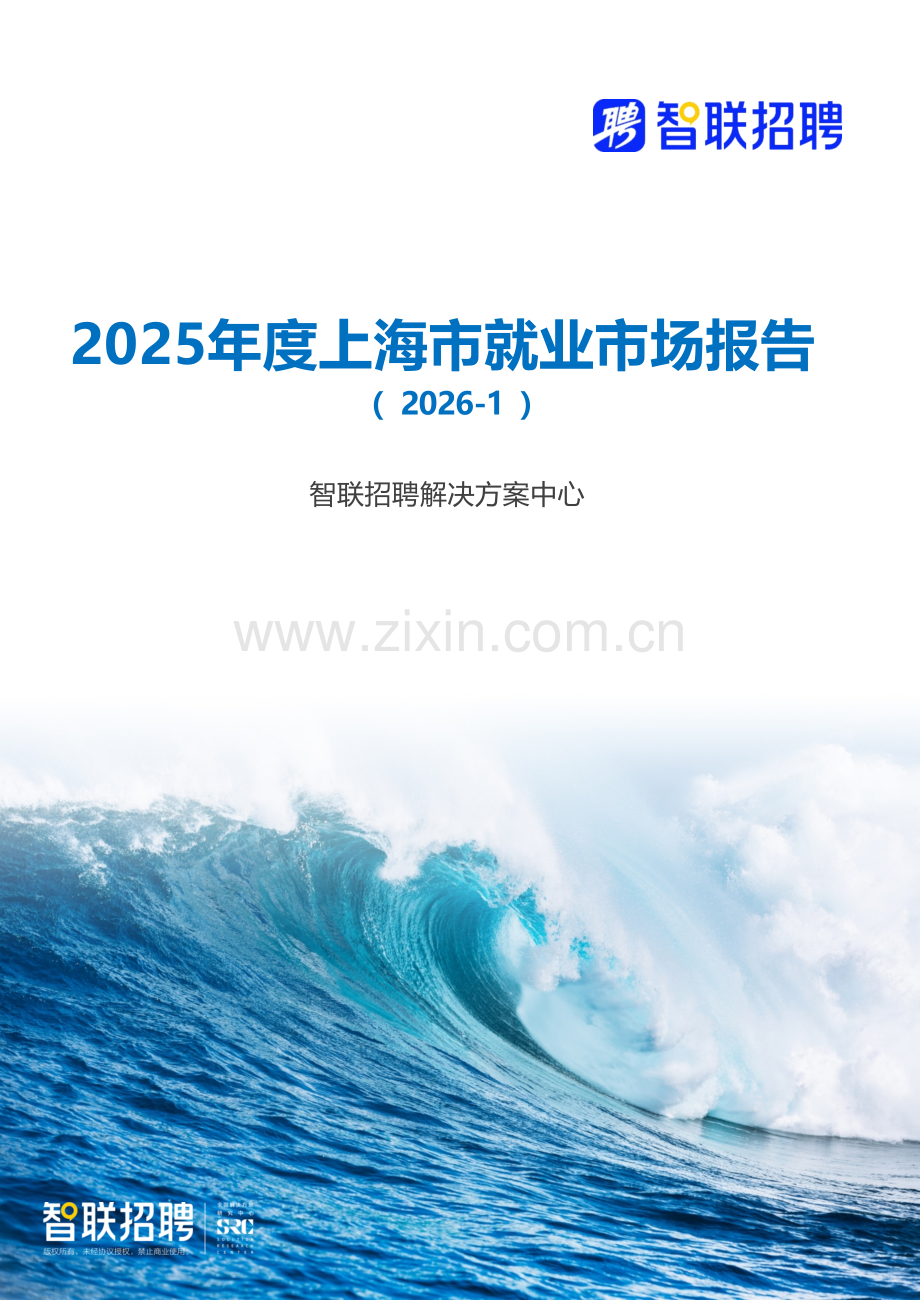 2025年度上海市就业市场报告.docx_第1页