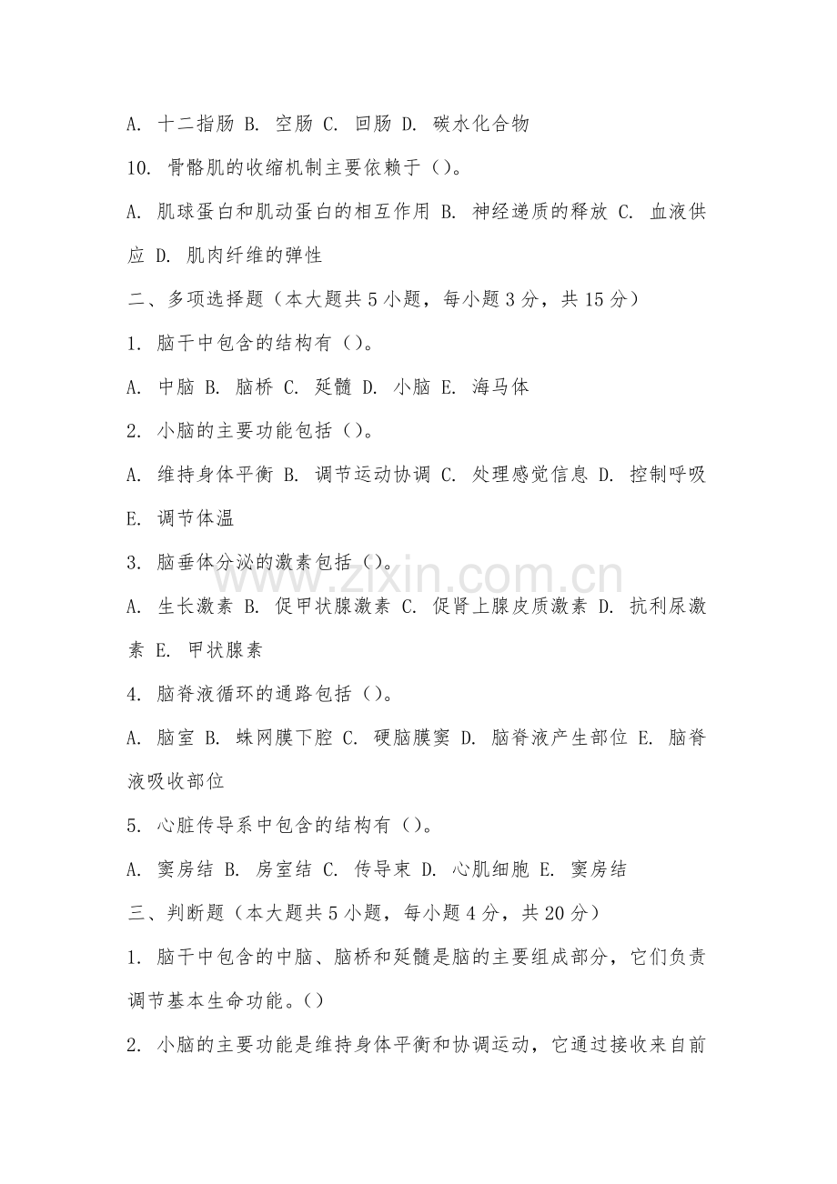 阜阳幼儿师范高等专科学校《系统解剖学下》2025-2026学年期末试卷.docx_第2页