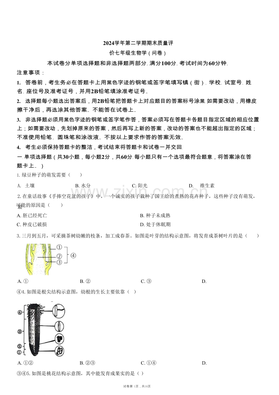 广东省广州市花都区2024--2025学年七年级下学期生物期末试题（含答案）.docx_第1页