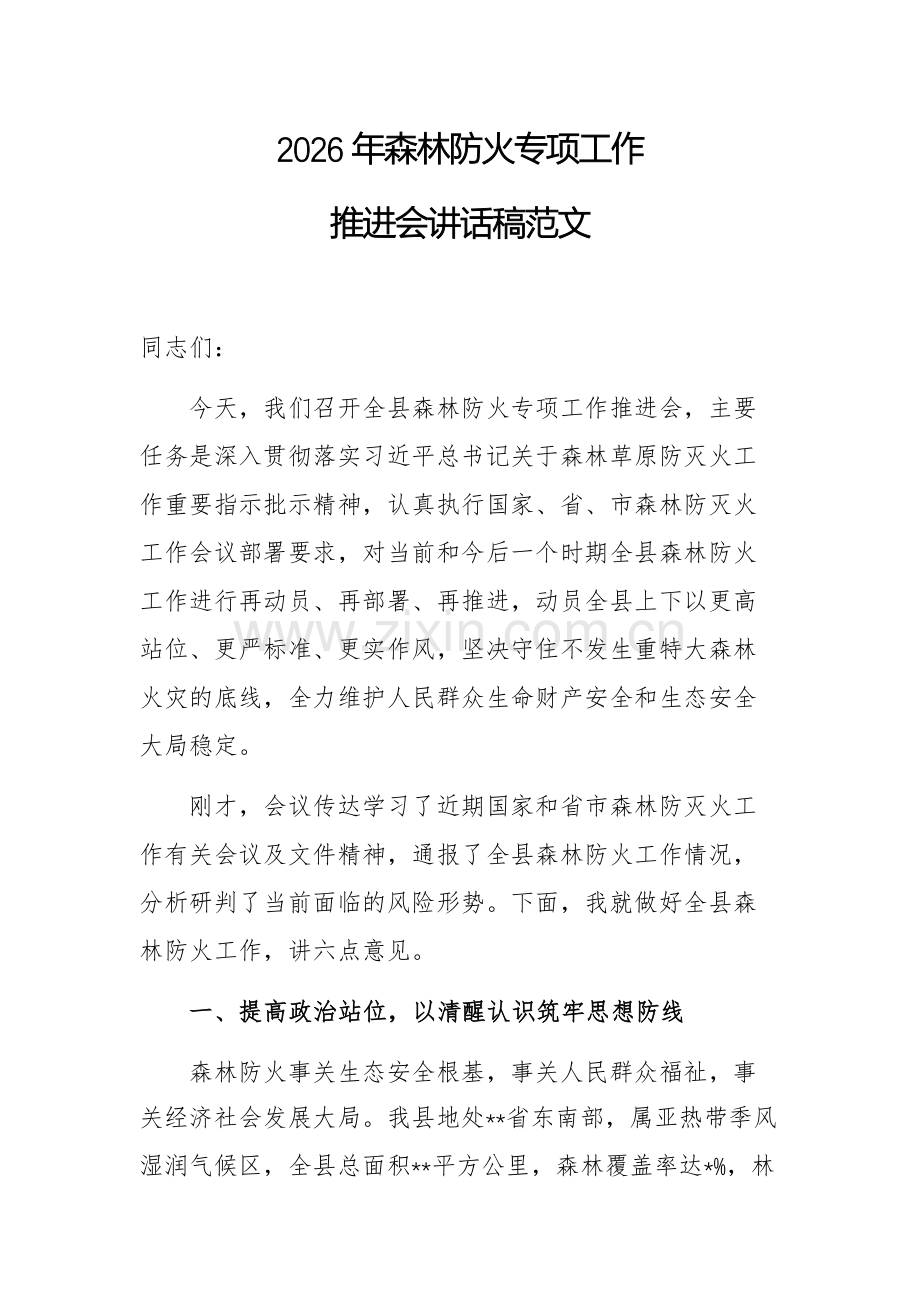 2026年森林防火专项工作推进会讲话稿范文.docx_第1页
