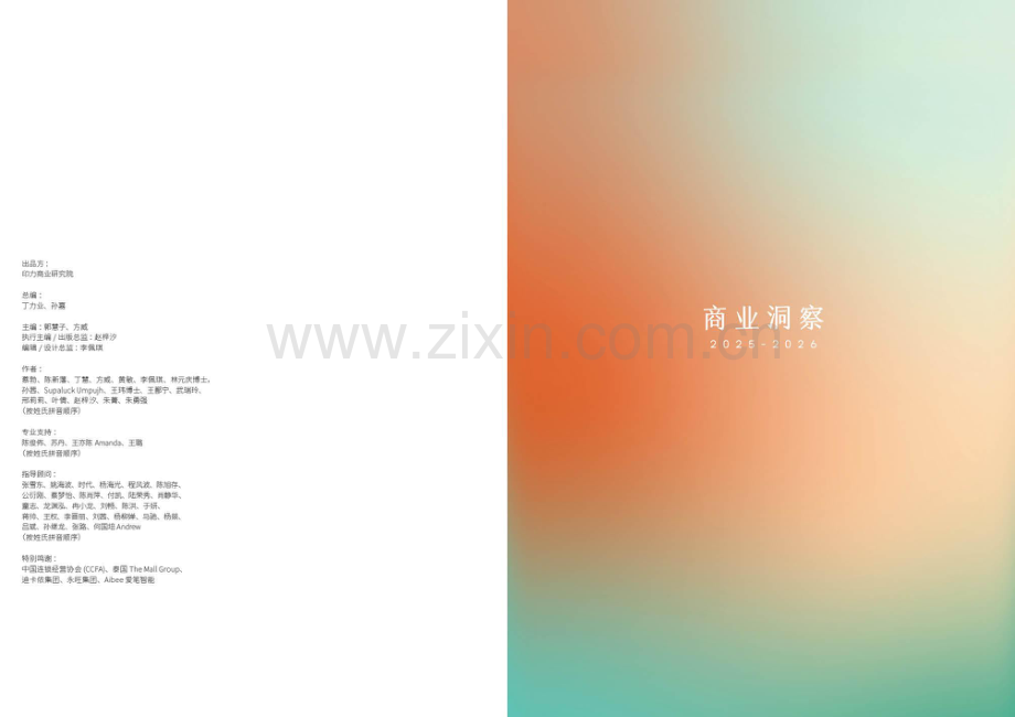 商业洞察2025-2026.pdf_第2页