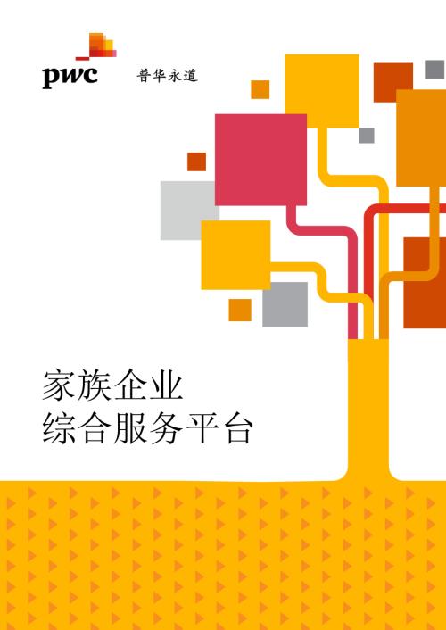 家族企业综合服务平台.pdf